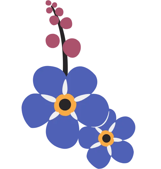 forget me not flowers icon 2